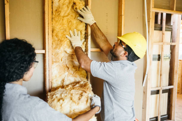 Best Home Insulation Services  in Plantsville, CT