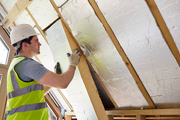 Best Insulation Inspection Services  in Plantsville, CT