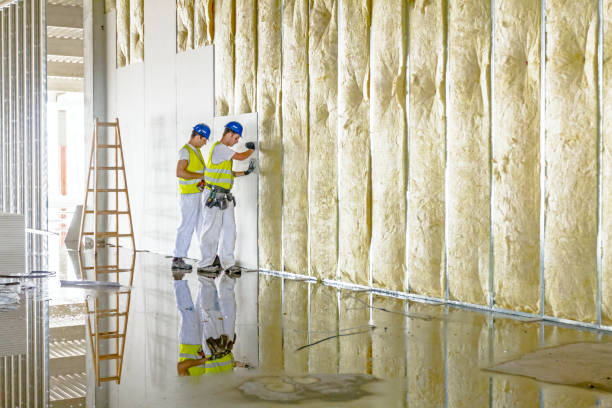 Best Affordable Insulation Services  in Plantsville, CT